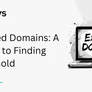 Preview Gambar ke-0 Domain Aged & Expired Murah Langsung Kirim